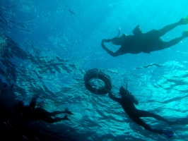 Linda and Larry IMG 3411